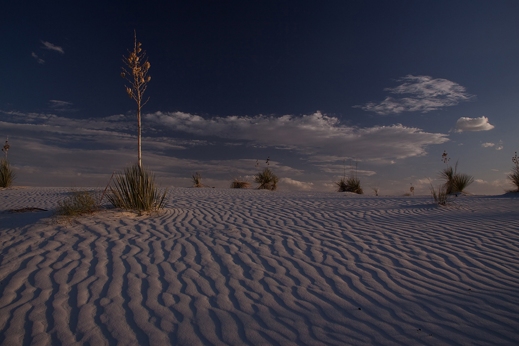 22_White Sands National Monument_08.jpg
